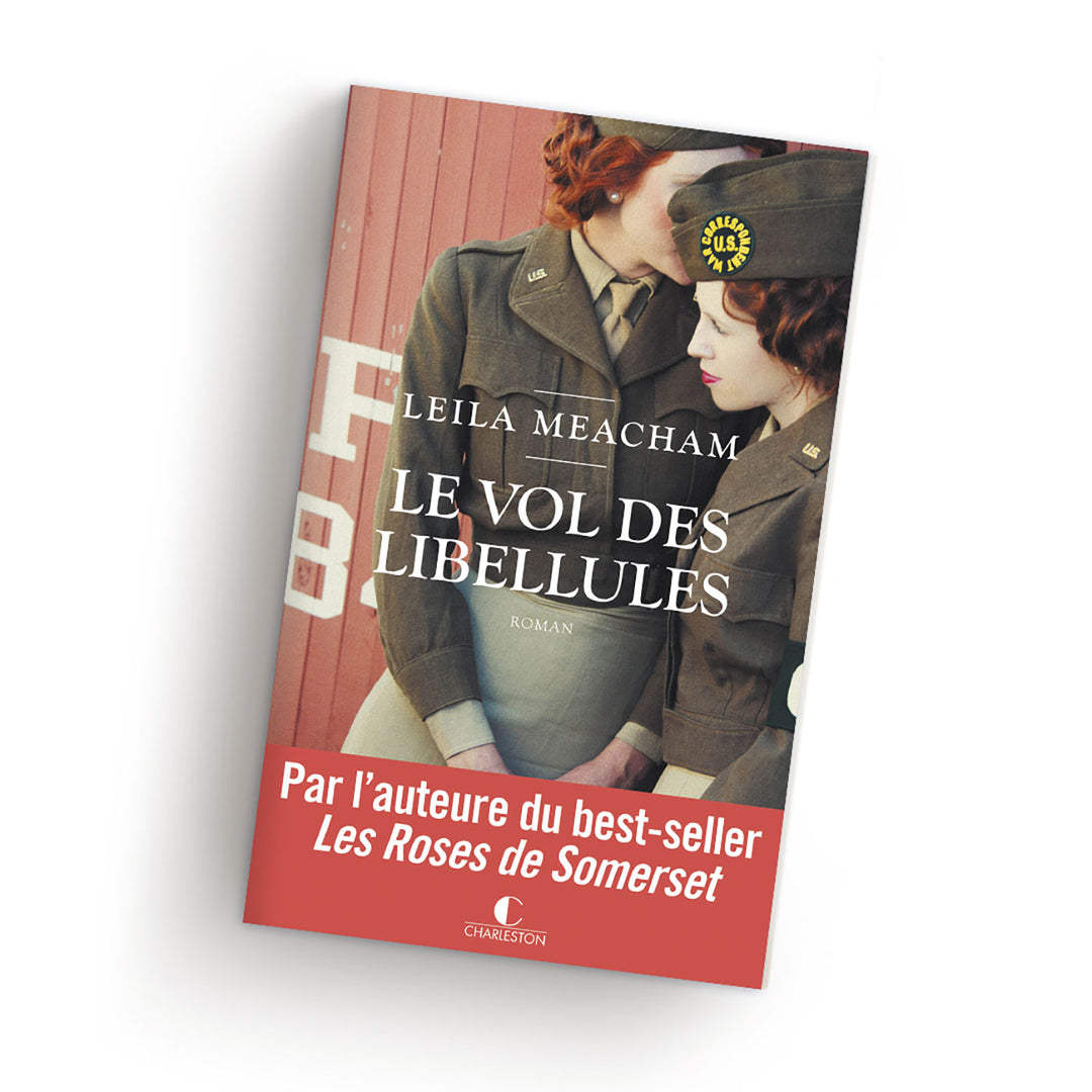Le vol des libellules